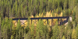 comp XT z_MG_4579 Railroad bridge above goat lick near Esssex Montana.jpg