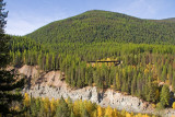 zz comp XT _MG_4578 Railroad bridge above goat lick.jpg