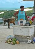 Iced Coconut-Natal-Rio Grande do Norte- Brazil-.jpg