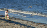 North Myrtle Beach- South Carolina