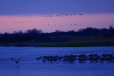IMG_5813M.jpg
