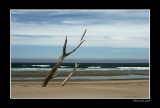 Cathedral Caves Beach