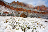 Zion after snowfall