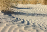 IMG_6707 Edited 1.jpg