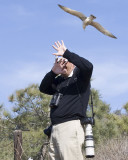 The Birder