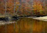 Fall Colors River
