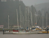 Sail Boat Old.jpg