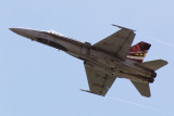 CF-18 Hornet.jpg