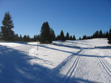 Cross-country skiing tracks