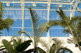 greenhouse2.jpg