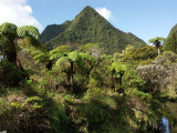 Jusqua la Foret  Primaire de Belouve