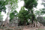 Ta Prohm