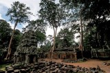 Ta Prohm