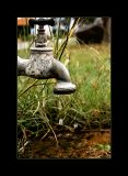 Last Drops