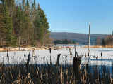 Rservoir Kiamika - Hautes-Laurentides, Qubec, Canada