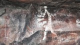 Aboriginal art at Hawk Dreaming - 2