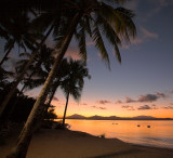 Dunk Island sunset and palm trees