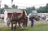 Terryville Fair 8