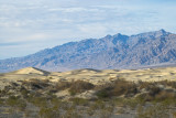 IMG06391.jpg dunes & Amargosa Mountains