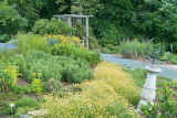 SDIM2295.jpg Meadowlark Gardens ISO200