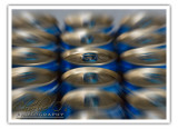 Golden Aluminum Product Shoot…