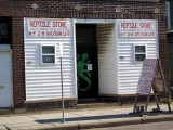 reptile store