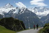 Walking track on Grosse Scheidegg