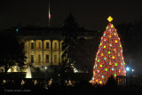 The National Christmas Tree  & The White House at Night