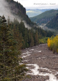 Nisqually River