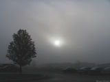 7:45 am fog hiding the sun.jpg(379)
