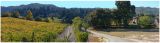 Jack London Vineyard Panorama
