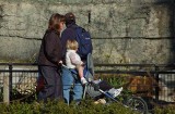 Stroller Workout