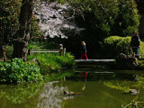A Crossing