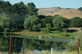 Driving by the Lake