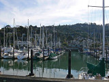 Harbor and Hills