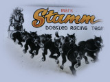 Mark Stamm Logo