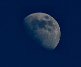 1Light of the moon.jpg