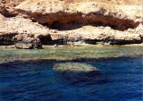 Sinai_Reef-II.jpg