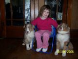 Emily and puppys