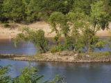 Wisconsin river