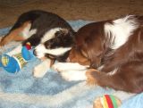 Slinger showing Ajax the ropes