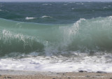  a wave - so many, so beautiful