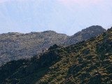 Hellvellyn - Swirral edge in foreground, lead-in to Striding edge beyond, then slopes below Nethermost Pike