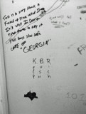 Keep Bush Rich On A Bathroom Wall