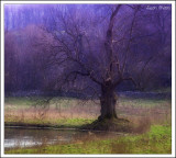 By the River Lathkill