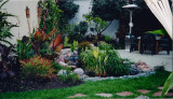 backyard after several months.