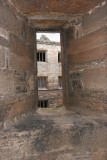 IMG_1830.jpg