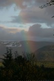 IMG_2021.jpg