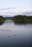 IMG_2027.jpg