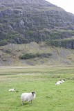 IMG_2063.jpg